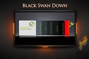 Image Display Of Our "Black Swan Down" Web Design